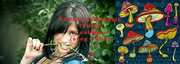 соль курить ск Белокуриха