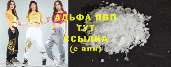 spice Беломорск