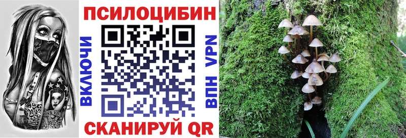 Галлюциногенные грибы мухоморы  где продают   Дигора 